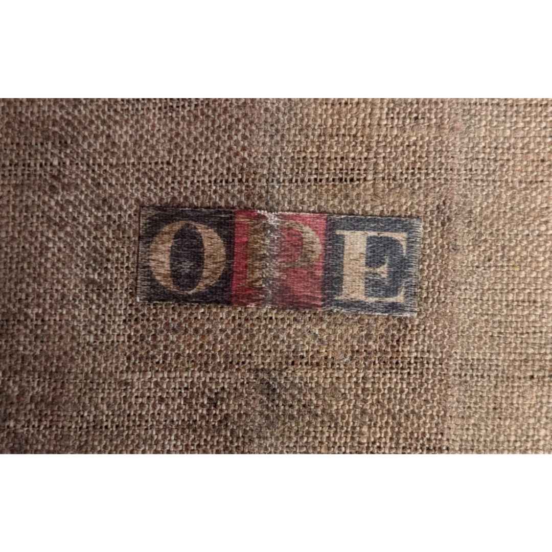 Houndstooth Sylve Stenqvist for Ope Beech 'Classic" chairs (pair)