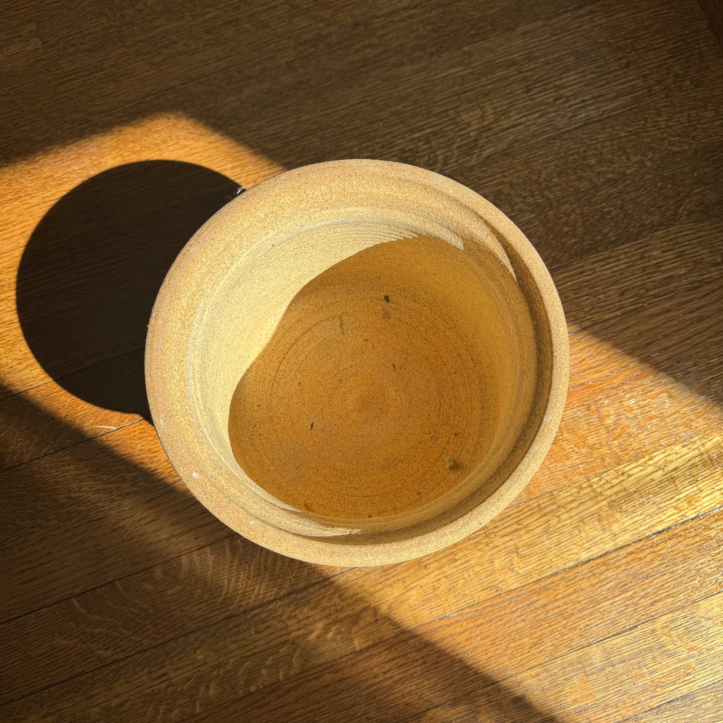 EarthenWare Squiggle Textured Planter
