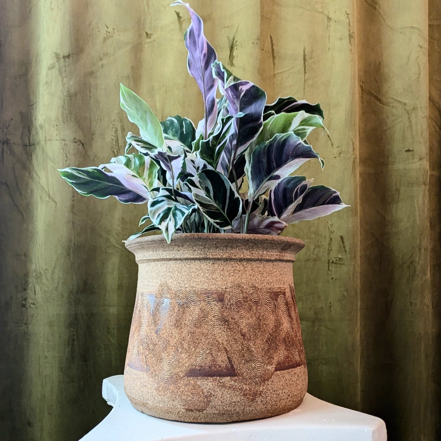 EarthenWare Squiggle Textured Planter