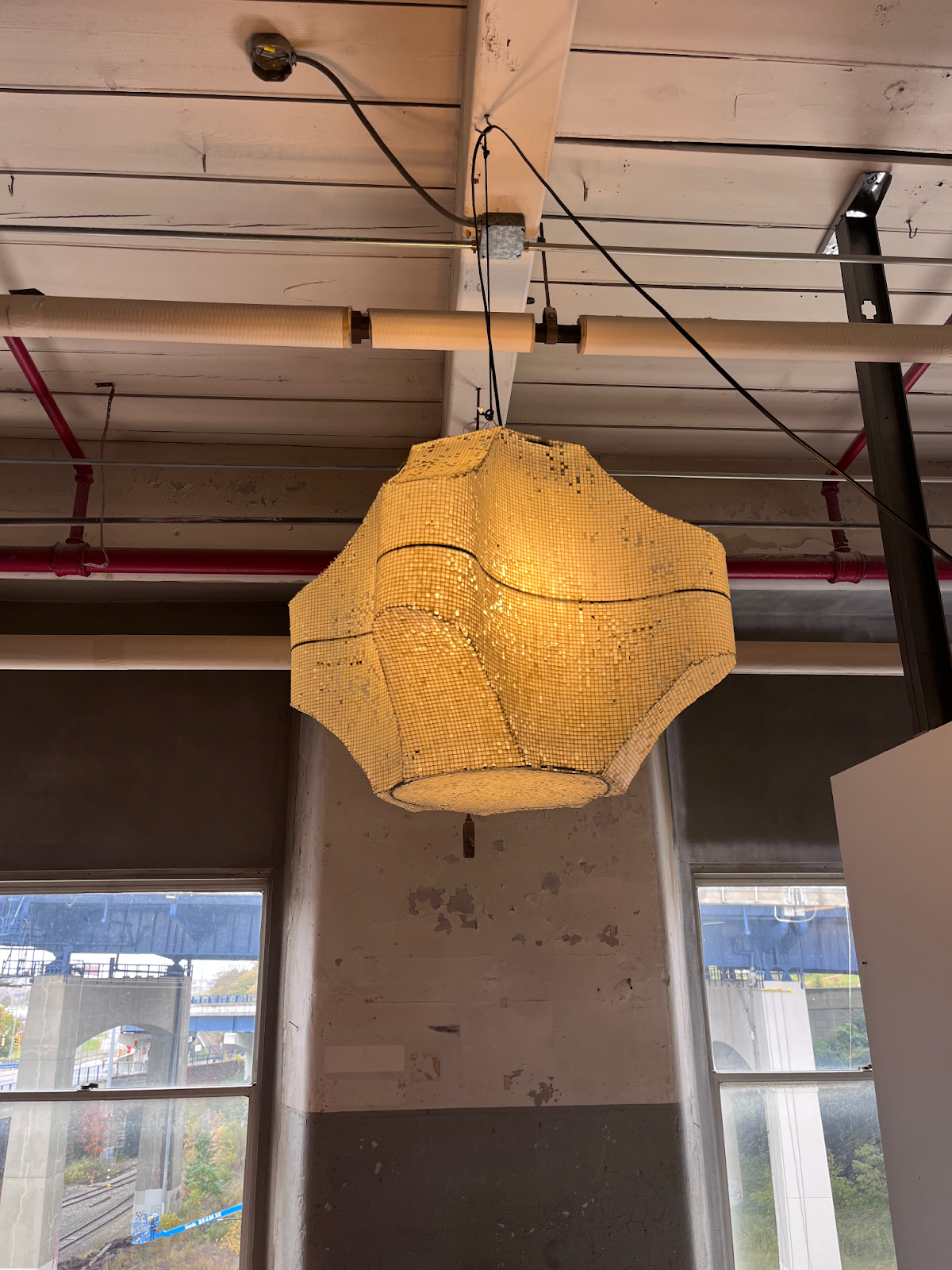 Echinus Pendant Light by Wes Sanders