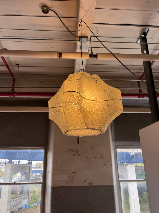 Echinus Pendant Light by Wes Sanders