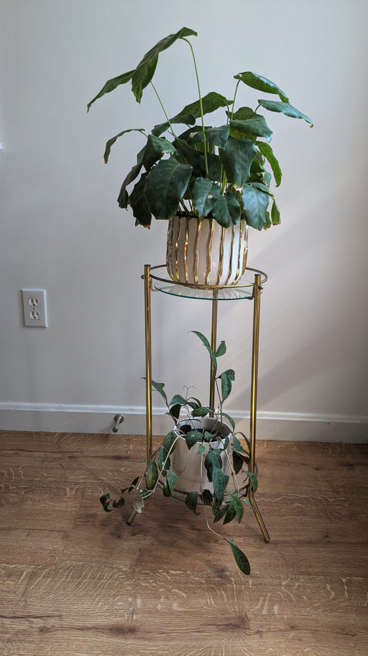 Brass & Glass Plant Stand