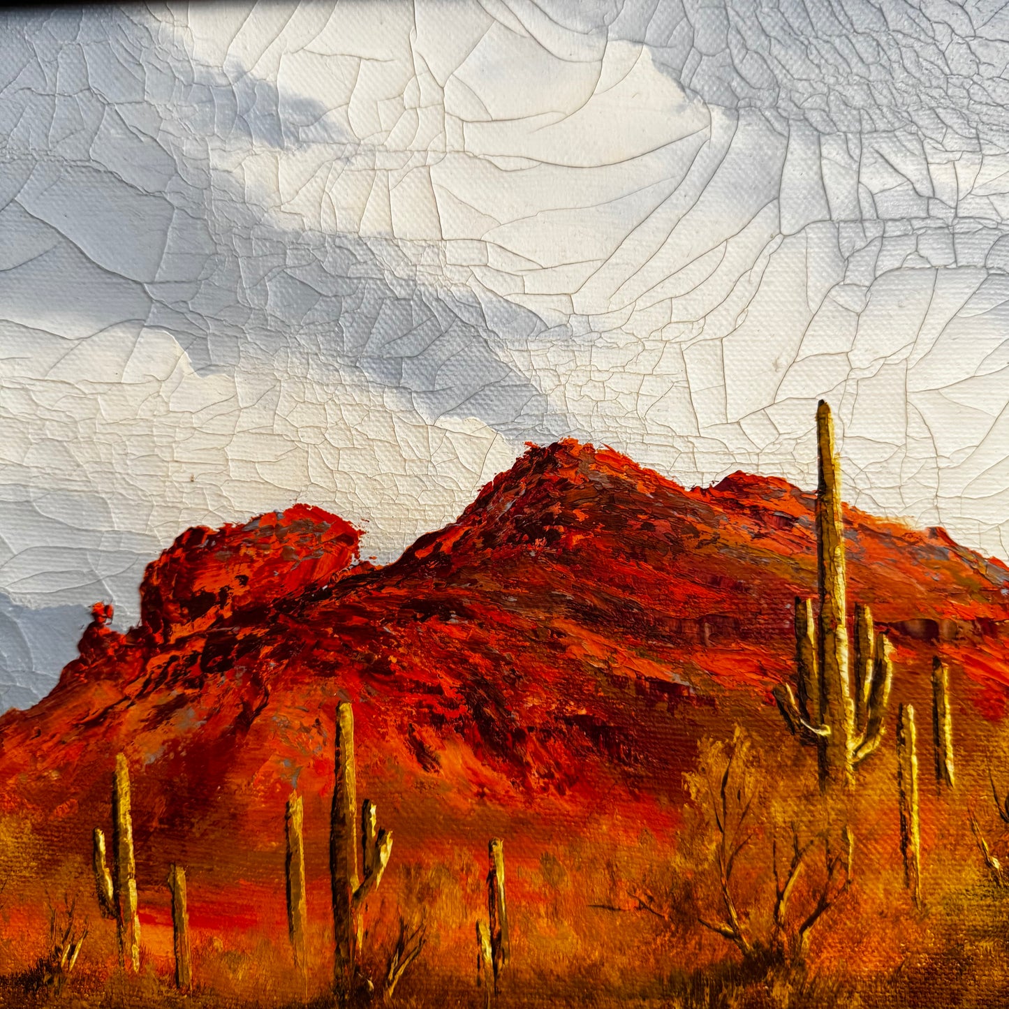Desert Southwest By John Loo