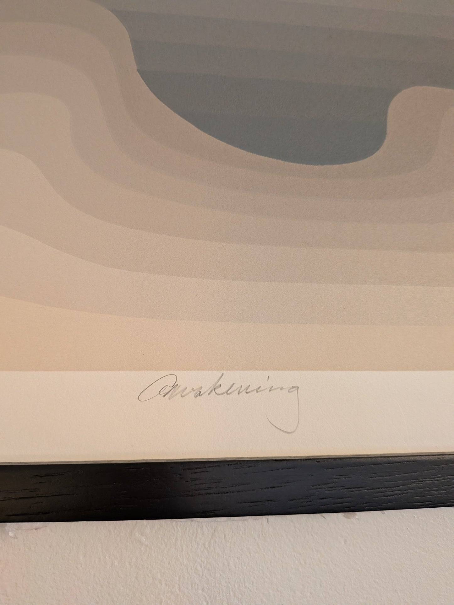 "Awakening" op art screenprint by Roy Ahlgren (1981)