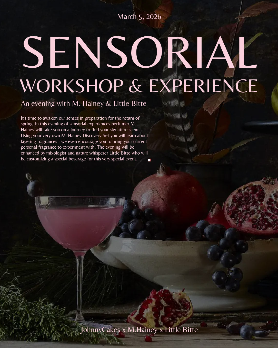 SENSORIAL: Workshop & Experience 3/5/26